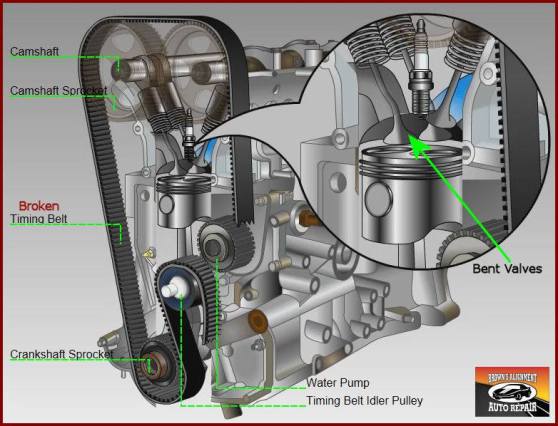 13210_450954055069016_2420372743759790489_n